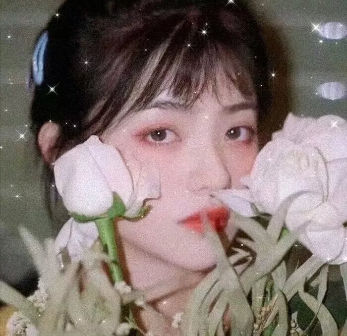 狼虎相残
