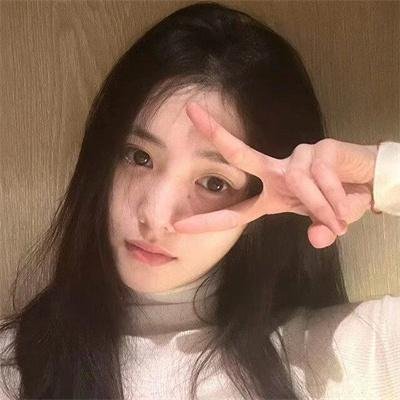 盗贼生涯